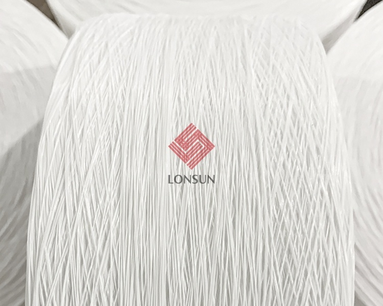 تشيوانتشو-Lonsun-الشركة (2)